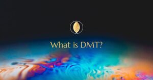 What is DMT?